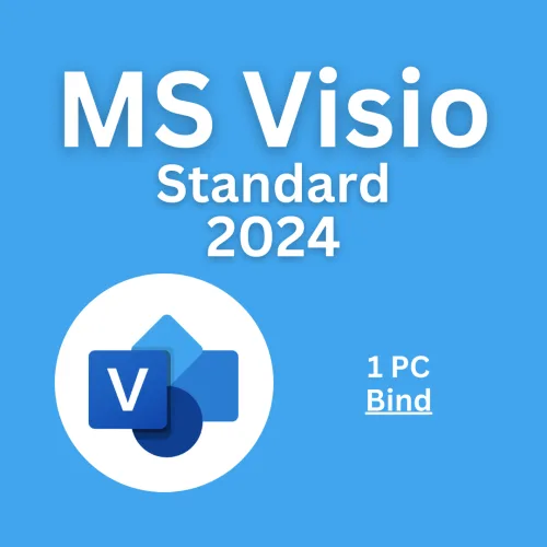 Visio 2024 Standard 1PC [BIND]
